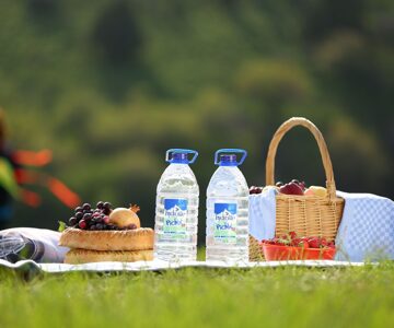 Picnic